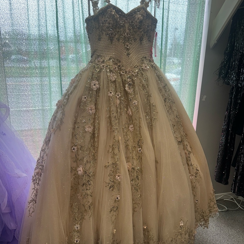 NEW Quinceanera gown